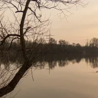 Flörsheim